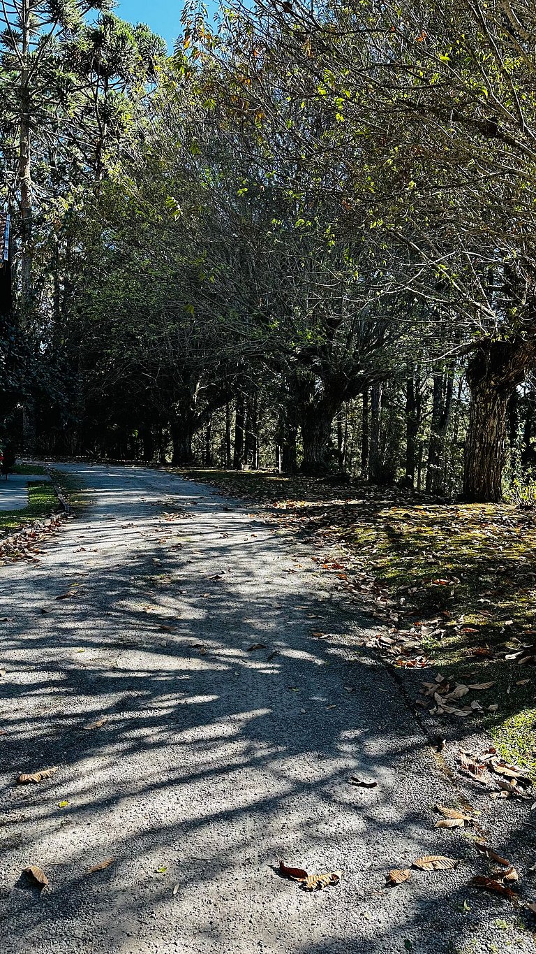 Chalé do Bosque dentro Parque Bambuí