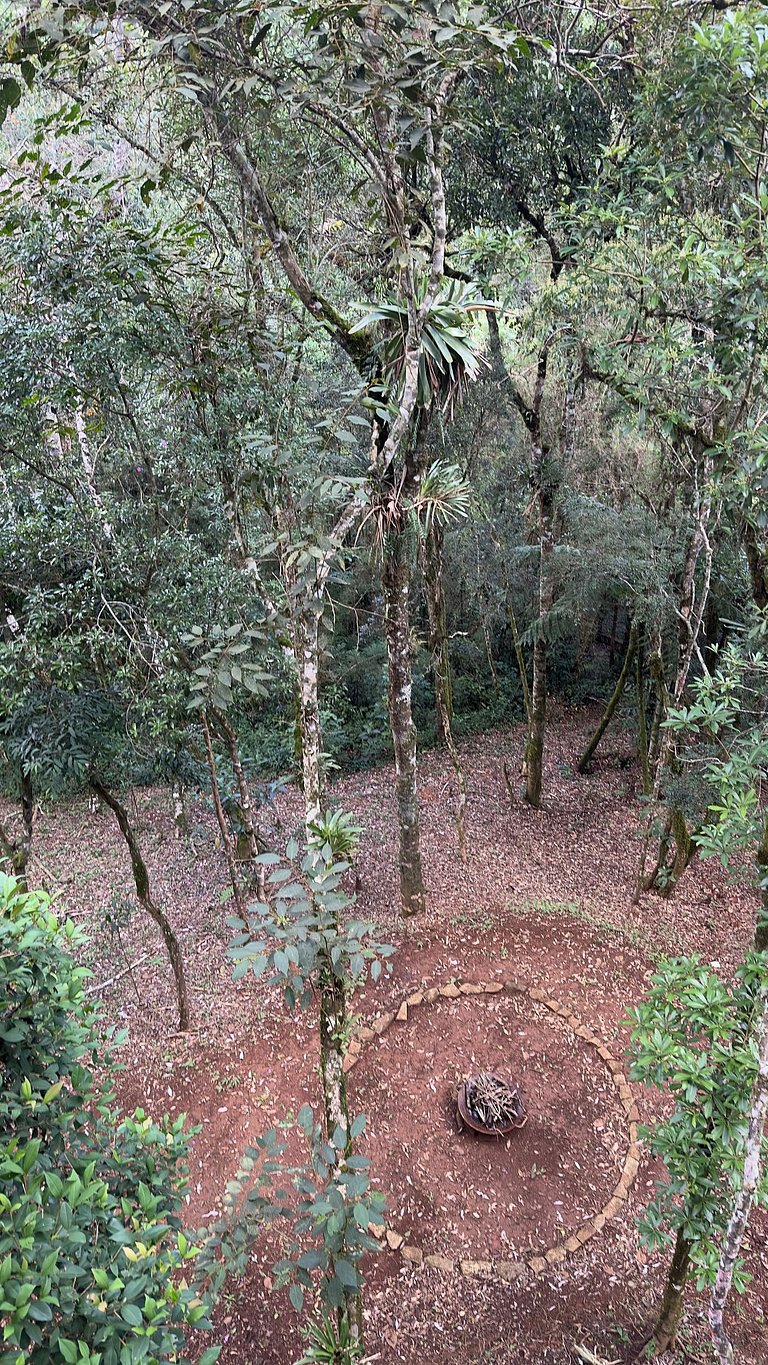 Casa Manacá, moderno meio à natureza